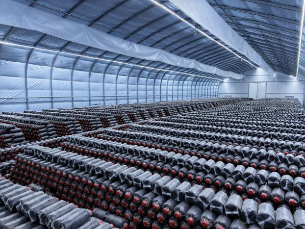 圖片關(guān)鍵詞