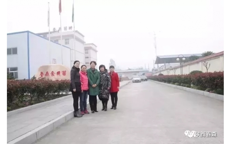 漢中市婦聯(lián)副主席黨曉芬一行蒞臨西鄉(xiāng)縣食用菌研究所視察指導(dǎo)工作