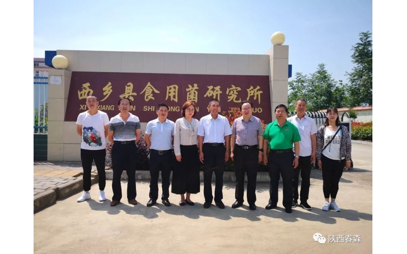 中國食用菌協(xié)會副會長何方明一行蒞臨西鄉(xiāng)縣食用菌研究所調(diào)研