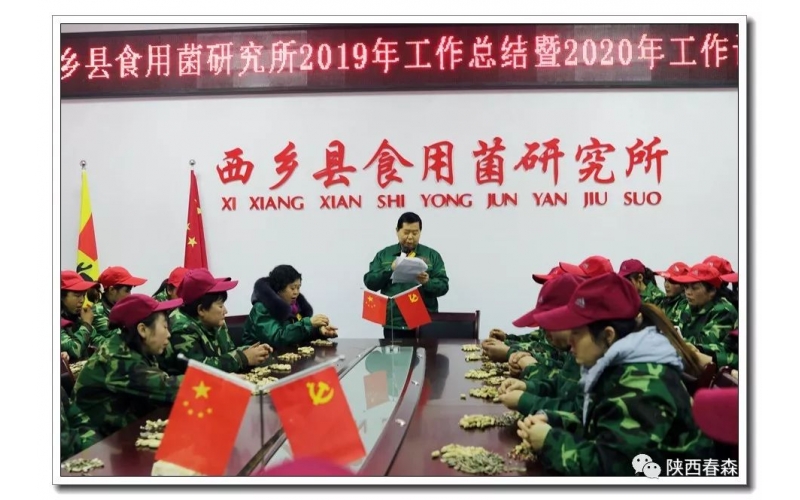 2019春森菌業(yè)年產(chǎn)菌種超過300萬袋（瓶），擴(kuò)建近40畝，經(jīng)營再創(chuàng)歷史新高